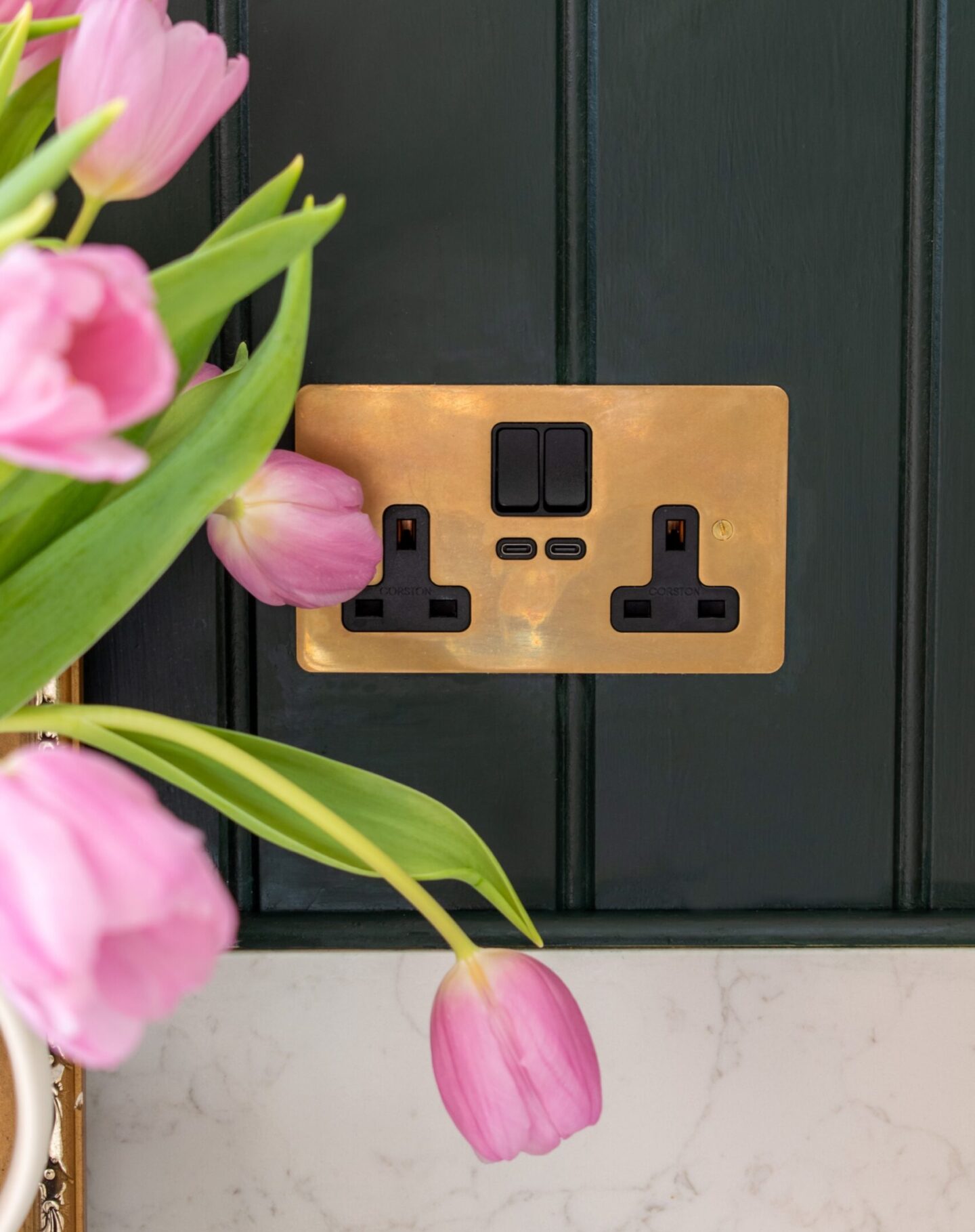 Corston Architectural Detail Antique Brass Socket on Green Panelling
